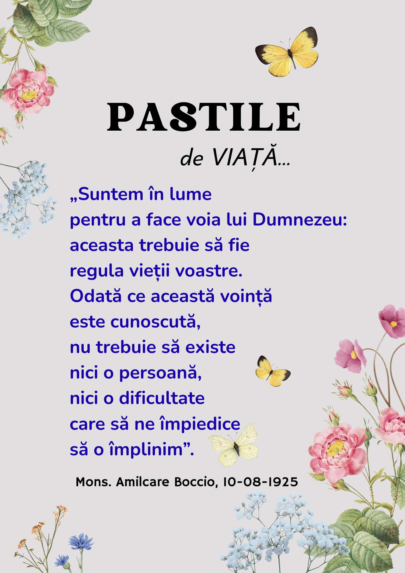 Piccole Figlie del Sacro Cuore di Ges&ugrave;